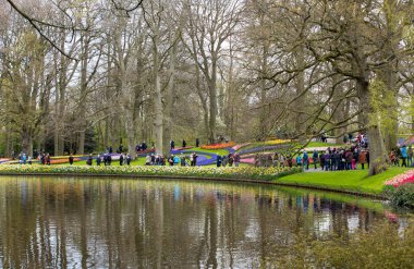 Lisse, Hollanda - 19 Nisan 2017: Lisse, Hollanda, Hollanda Keukenhof Garden ziyaretçi.