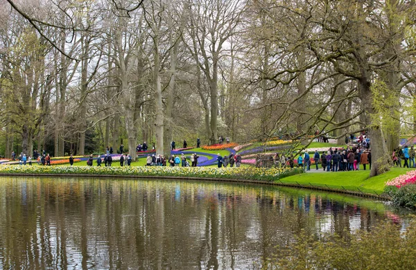Lisse, Hollanda - 19 Nisan 2017: Lisse, Hollanda, Hollanda Keukenhof Garden ziyaretçi.