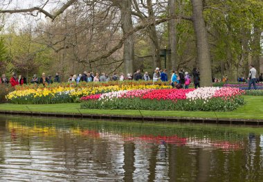 Lisse, Hollanda - 19 Nisan 2017: Lisse, Hollanda, Hollanda Keukenhof Garden ziyaretçi.