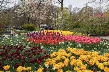 Lisse, Hollanda - 19 Nisan 2017: Lisse, Hollanda, Hollanda Keukenhof Garden ziyaretçi.