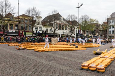 Alkmaar, Hollanda - 21 Nisan 2017: Alkmaar, Hollanda ünlü Hollandalı peynir pazarında birçok peynir ile yürüyüş uçak gemisi. Waagplein Meydanı'nda olay olur. 