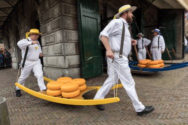 Alkmaar, Hollanda - 21 Nisan 2017: Alkmaar, Hollanda ünlü Hollandalı peynir pazarında birçok peynir ile yürüyüş uçak gemisi. Waagplein Meydanı'nda olay olur. 