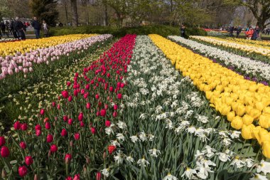 Lisse, Hollanda - 19 Nisan 2017: Lisse, Hollanda, Hollanda Keukenhof Garden ziyaretçi.