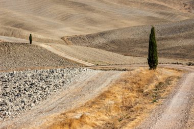 Tuscany kırsal manzara. İtalya