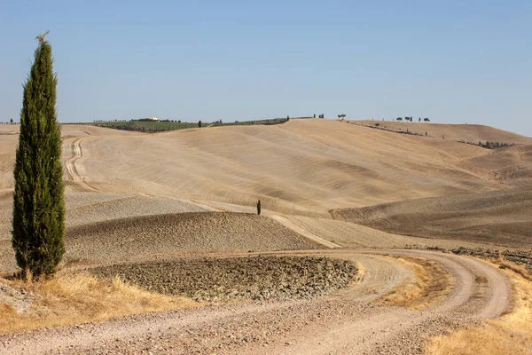 Landsbygdens Landskap Toscana Italien — Stockfoto