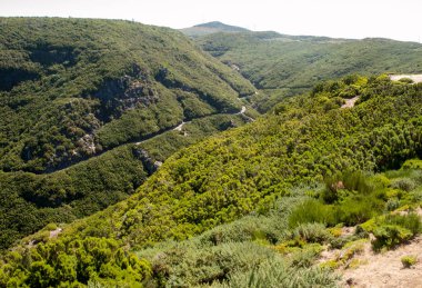 Belgili tanımlık geçmek Boca da Encumeada Madeira görüntüleyin. Portekiz