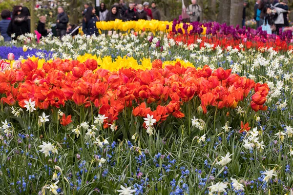 Lisse Niederland April 2017 Besucher Keukenhof Garten Lisse Holland Niederland — Stockfoto