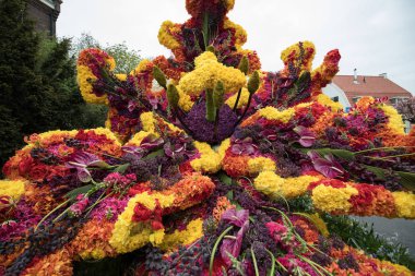 Noordwijkerhout, Hollanda - 21 Nisan 2017: Platform ile Lale ve sümbül sırasında geleneksel çiçek geçit törenini Bloemencorso Noordwijk üzerinden Hollanda'da Haarlem. 
