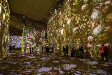 Les Baux, Fransa - 26 Haziran 2017: Fantastik ve harika bir dünya, Bosch, Brueghel ve Arcimboldo. Gösterinin yaklaşık 30 dakika sürer ve Carrires de Lumires 7000 m2 bir alan üzerinde görüntülenen 2000'den fazla dijital görüntüleri içeren 