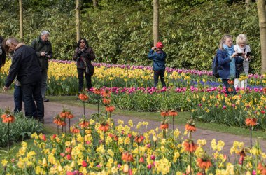 Lisse, Hollanda - 19 Nisan 2017: Lisse, Hollanda, Hollanda Keukenhof Garden ziyaretçi.