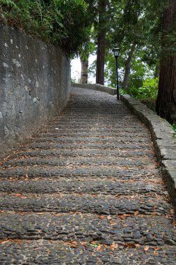  Monte Palace Funchal Madeira Adası tropik bahçede. Portekiz