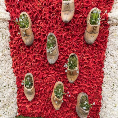 Noordwijkerhout, Hollanda - 21 Nisan 2017: Platform ile Lale ve sümbül sırasında geleneksel çiçek geçit törenini Bloemencorso Noordwijk üzerinden Hollanda'da Haarlem. 