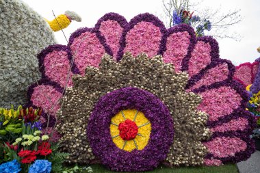 Noordwijkerhout, Hollanda - 21 Nisan 2017: Platform ile Lale ve sümbül sırasında geleneksel çiçek geçit törenini Bloemencorso Noordwijk üzerinden Hollanda'da Haarlem. 
