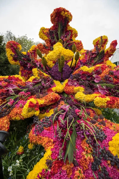 Noordwijkerhout, Hollanda - 21 Nisan 2017: Platform ile Lale ve sümbül sırasında geleneksel çiçek geçit törenini Bloemencorso Noordwijk üzerinden Hollanda'da Haarlem. 