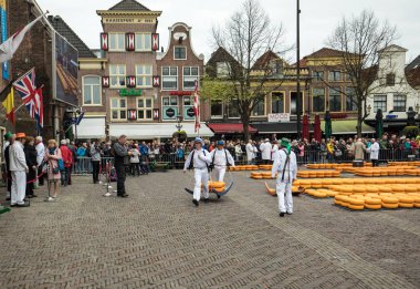 Alkmaar, Hollanda - 21 Nisan 2017: Alkmaar, Hollanda ünlü Hollandalı peynir pazarında birçok peynir ile yürüyüş uçak gemisi. Waagplein Meydanı'nda olay olur. 