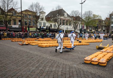 Alkmaar, Hollanda - 21 Nisan 2017: Alkmaar, Hollanda ünlü Hollandalı peynir pazarında birçok peynir ile yürüyüş uçak gemisi. Waagplein Meydanı'nda olay olur. 