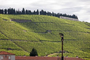 Tain l'Hermitage, Fransa - 28 Haziran 2017: M. görünümünü Chapoutier Crozes-Hermitage üzüm bağları Tain l'Hermitage, Rhone Vadisi, Fransa