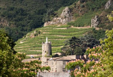 M. görünümünü Chapoutier Crozes-Hermitage üzüm bağları Tain l'Hermitage, Rhone Vadisi, Fransa