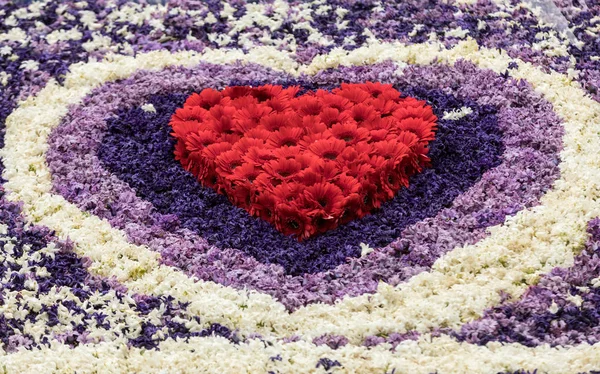 Red Heart Abstract Background Colorful Hyacinths Flowers — Stock Photo, Image