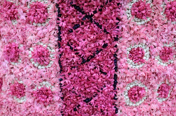 Arka Plan Yakın Çekim Renkli Sümbül Çiçek — Stok fotoğraf