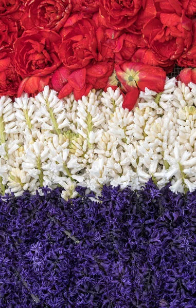 Abstracte Achtergrond Close Van Het Met Kleurrijke Tulpen Hyacinten — Stockfoto
