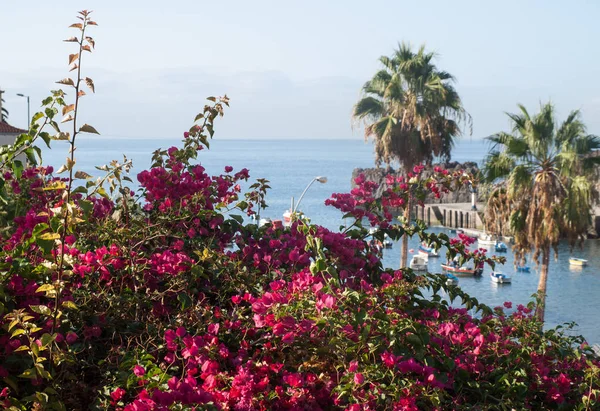 Camara Lobos Village Pêcheurs Traditionnel Situé Cinq Kilomètres Funchal Sur — Photo