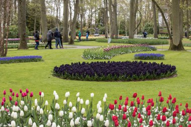 Lisse, Hollanda - 19 Nisan 2017: Lisse, Hollanda, Hollanda Keukenhof Garden ziyaretçi.