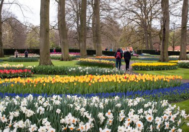 Lisse, Hollanda - 19 Nisan 2017: Lisse, Hollanda, Hollanda Keukenhof Garden ziyaretçi.