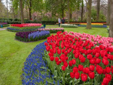 Lisse, Hollanda - 19 Nisan 2017: Lisse, Hollanda, Hollanda Keukenhof Garden ziyaretçi.