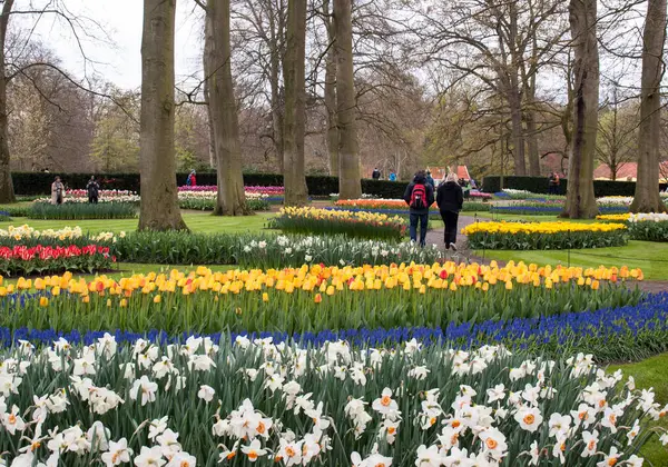 Lisse Hollanda Nisan 2017 Lisse Hollanda Hollanda Keukenhof Garden Ziyaretçi — Stok fotoğraf