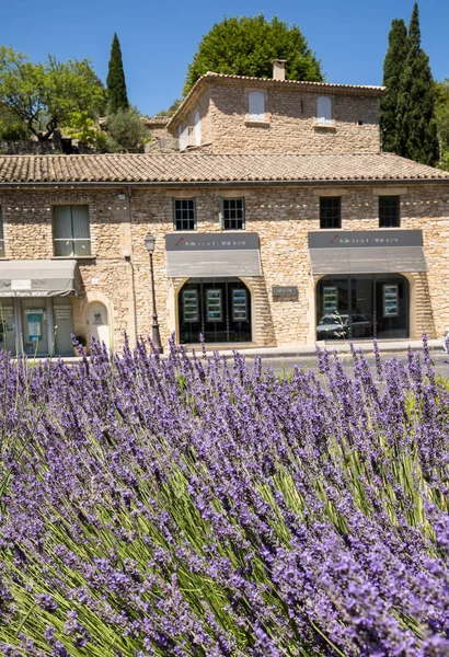 Gordes Frankrijk Juni 2017 Bloeiende Lavendel Gordes Provence Frankrijk — Stockfoto