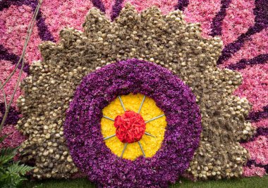 Noordwijkerhout, Hollanda - 21 Nisan 2017: Platform ile Lale ve sümbül sırasında geleneksel çiçek geçit törenini Bloemencorso Noordwijk üzerinden Hollanda'da Haarlem. 