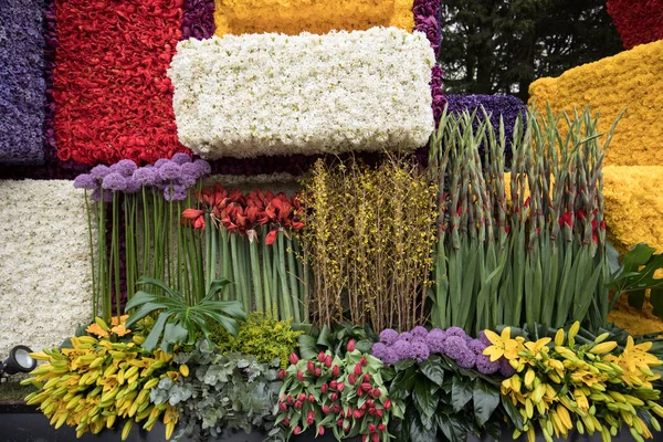 Noordwijkerhout Nederland April 2017 Platform Met Tulpen Hyacinten Tijdens Traditionele — Stockfoto