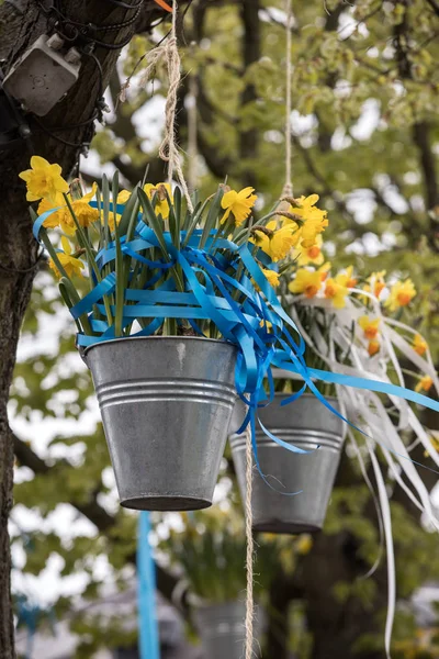 Decoraciones Con Cubos Colgantes Con Narcisos Amarillos Tradicional Desfile Flores —  Fotos de Stock