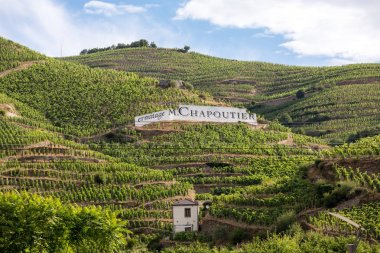 Tain l'Hermitage, Fransa - 28 Haziran 2017: M. görünümünü Chapoutier Crozes-Hermitage üzüm bağları Tain l'Hermitage, Rhone Vadisi, Fransa