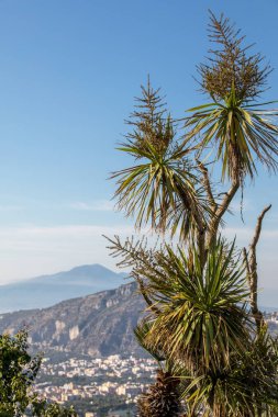 Napoli Körfezi ve Vesuvius palmiye ağacı içinde belgili tanımlık geçmiş