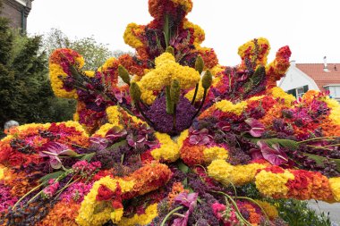 Noordwijkerhout, Hollanda - 21 Nisan 2017: Platform ile Lale ve sümbül sırasında geleneksel çiçek geçit törenini Bloemencorso Noordwijk üzerinden Hollanda'da Haarlem. 