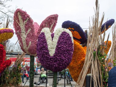 Noordwijkerhout, Hollanda - 21 Nisan 2017: Platform ile Lale ve sümbül sırasında geleneksel çiçek geçit törenini Bloemencorso Noordwijk üzerinden Hollanda'da Haarlem. 