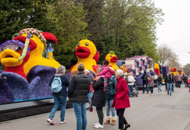 Noordwijkerhout, Hollanda - 21 Nisan 2017: Platform ile Lale ve sümbül sırasında geleneksel çiçek geçit törenini Bloemencorso Noordwijk üzerinden Hollanda'da Haarlem. 