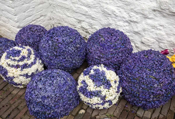 Bälle Aus Hyazinthen Bei Der Traditionellen Blütenparade Von Noordwijk Nach — Stockfoto