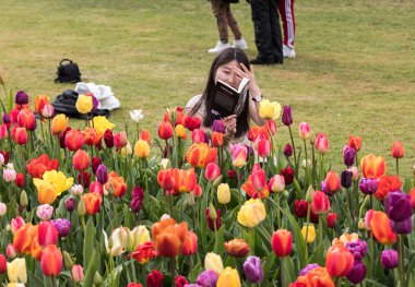 Lisse, Hollanda - 19 Nisan 2017: Lisse, Hollanda, Hollanda Keukenhof bahçeleri bir kitap okuma genç kız.