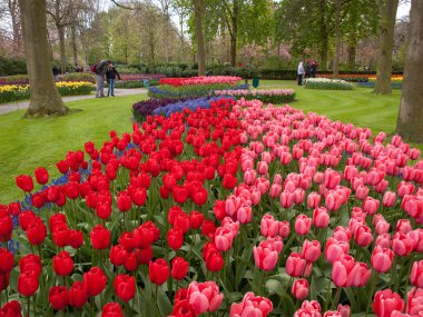 Lisse, Hollanda - 19 Nisan 2017: Lisse, Hollanda, Hollanda Keukenhof Garden ziyaretçi.