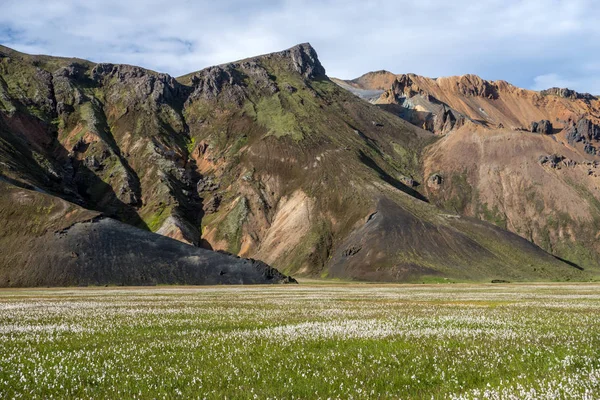 Fjallabak Doğa Rezervi Ndeki Landmannalaugar Volkanik Dağları Zlanda — Stok fotoğraf