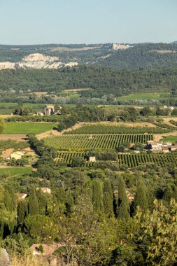 Panoramik ekili alanlar, üzüm bağları ve dağlarda Provence, Fransa