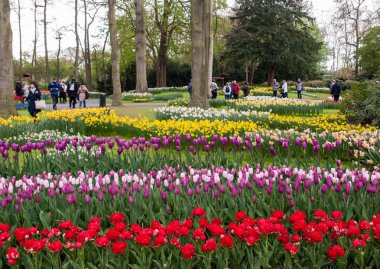 Lisse, Hollanda - 19 Nisan 2017: Lisse, Hollanda, Hollanda Keukenhof Garden ziyaretçi.