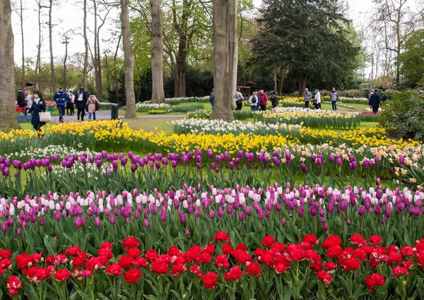 Lisse Países Baixos Abril 2017 Visitantes Jardim Keukenhof Lisse Holanda — Fotografia de Stock