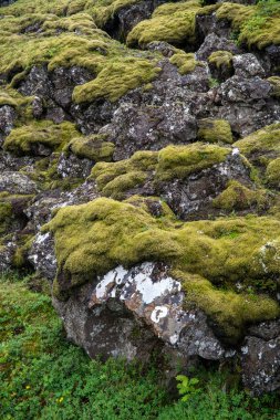 Thingvellir, Avrupa ve Amerikan plakaları buluştuğu. Thingvellir Milli Parkı yakınındaki Reykjavik, İzlanda 