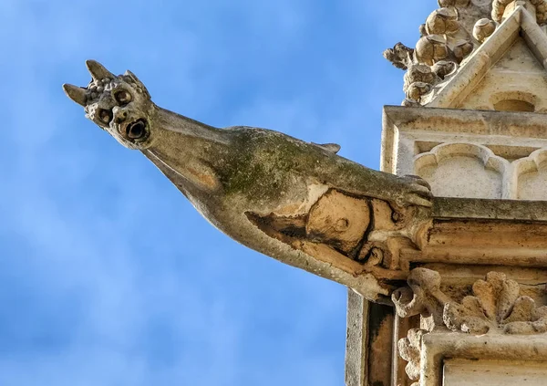 París Las Gárgolas Pared Lateral Sur Santa Chapelle —  Fotos de Stock