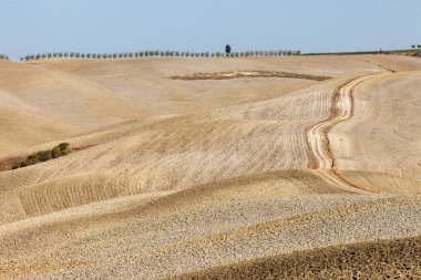 Tuscany kırsal manzara. İtalya