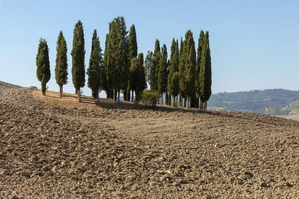 Paisaje Rural Toscana Italia —  Fotos de Stock